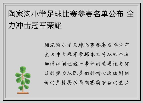 陶家沟小学足球比赛参赛名单公布 全力冲击冠军荣耀