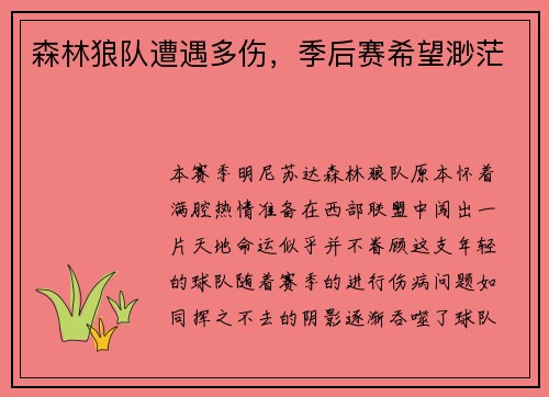 森林狼队遭遇多伤，季后赛希望渺茫