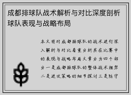 成都排球队战术解析与对比深度剖析球队表现与战略布局