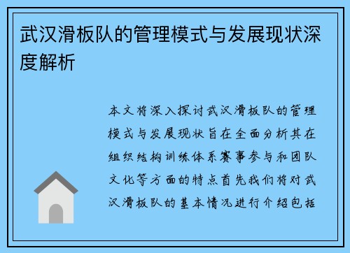 武汉滑板队的管理模式与发展现状深度解析