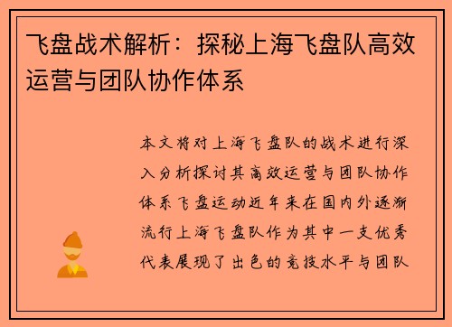飞盘战术解析：探秘上海飞盘队高效运营与团队协作体系